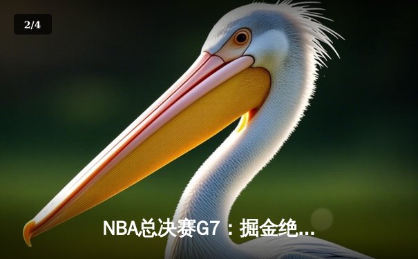 NBA总决赛G7：掘金绝地反击夺冠，约基奇斩获FMVP - 2
